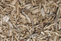 biomass boilers Manmoel