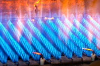 Manmoel gas fired boilers